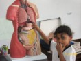 /album/cuerpo-humano/cuerpo-humano-1-jpg/